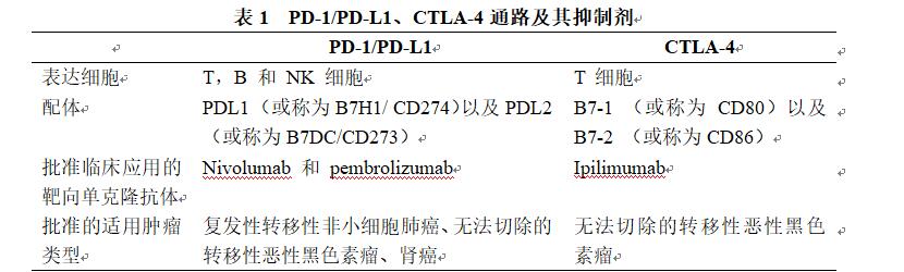 表1 PD-1/PD-L1、CTLA-4通路及其抑制剂