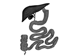 图2