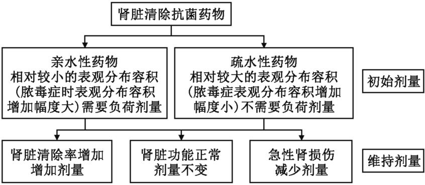 图9