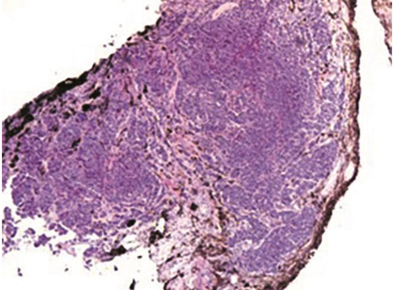 /uploads/image/2023-12-18/123758768图5-1.png 图5-1