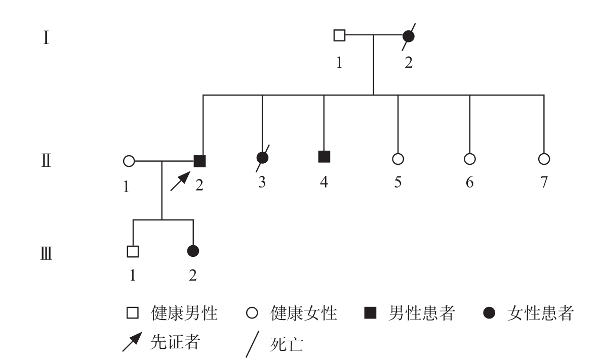 图1 患者家系图谱