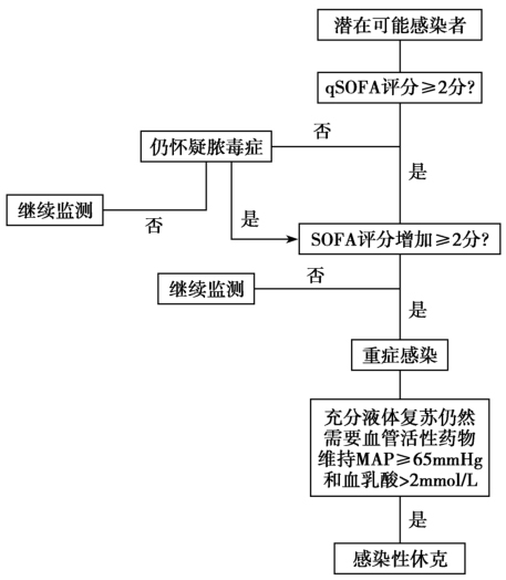 图1 重症感染和感染性休克诊断流程