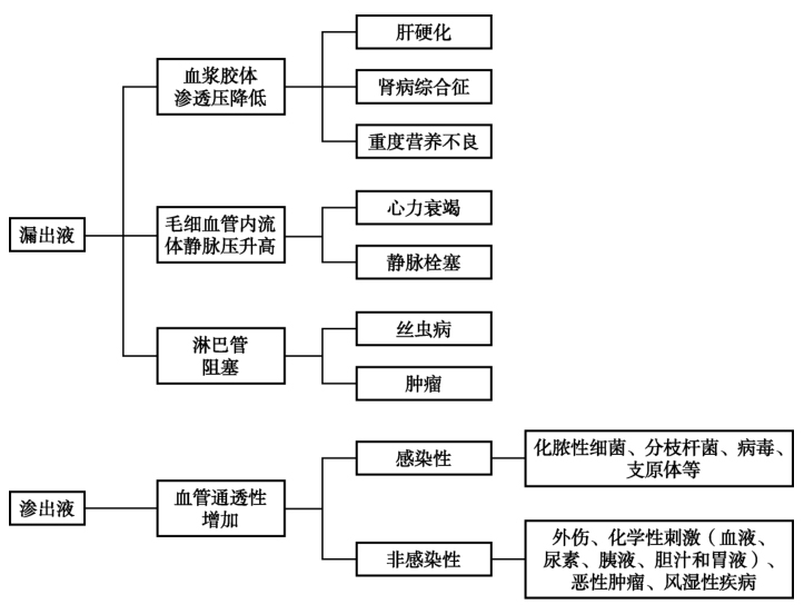 图6 漏出液和渗出液对比
