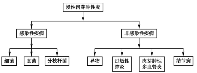 图7 诊断分析线路图