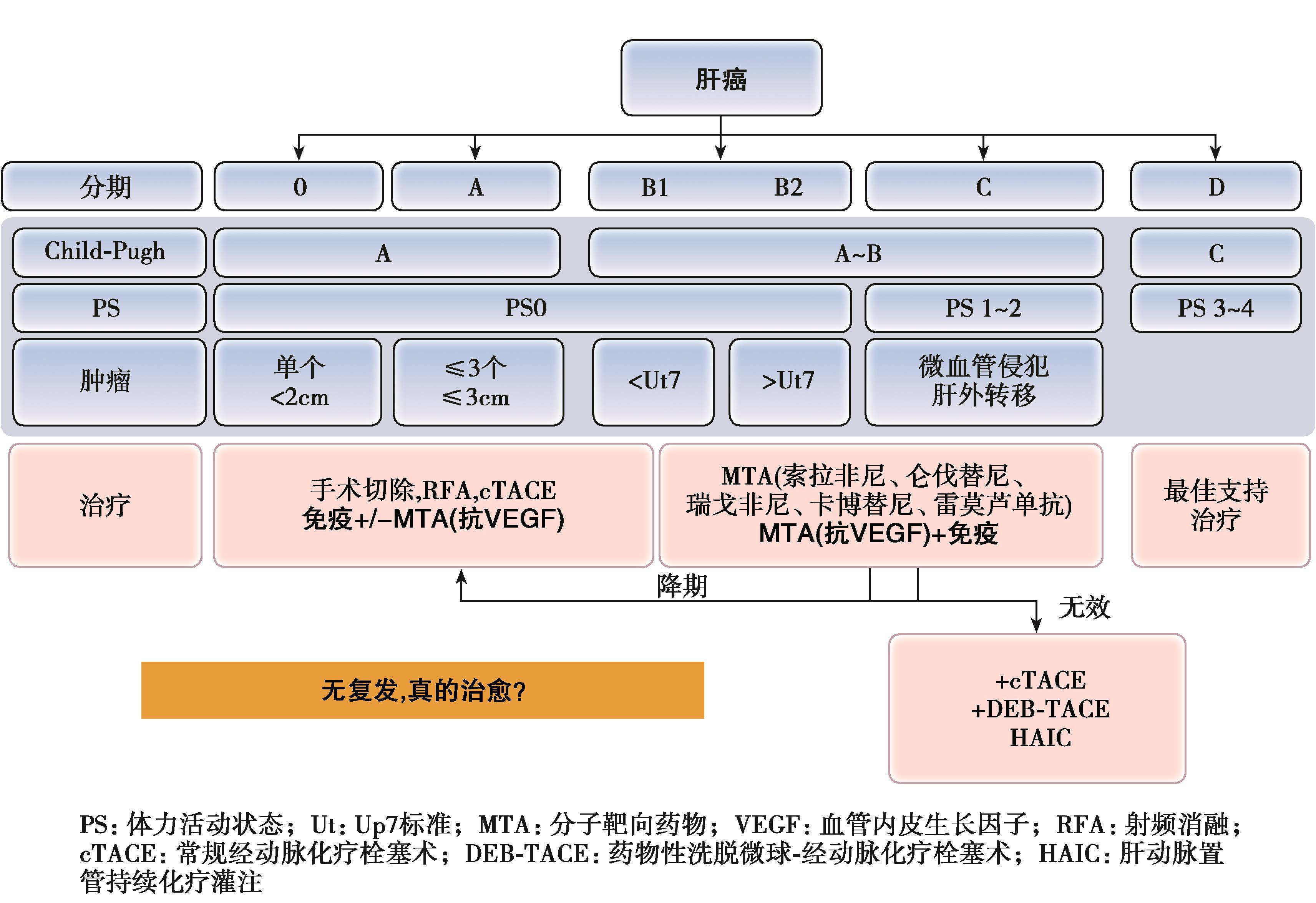 图16 HCC治疗未来蓝图