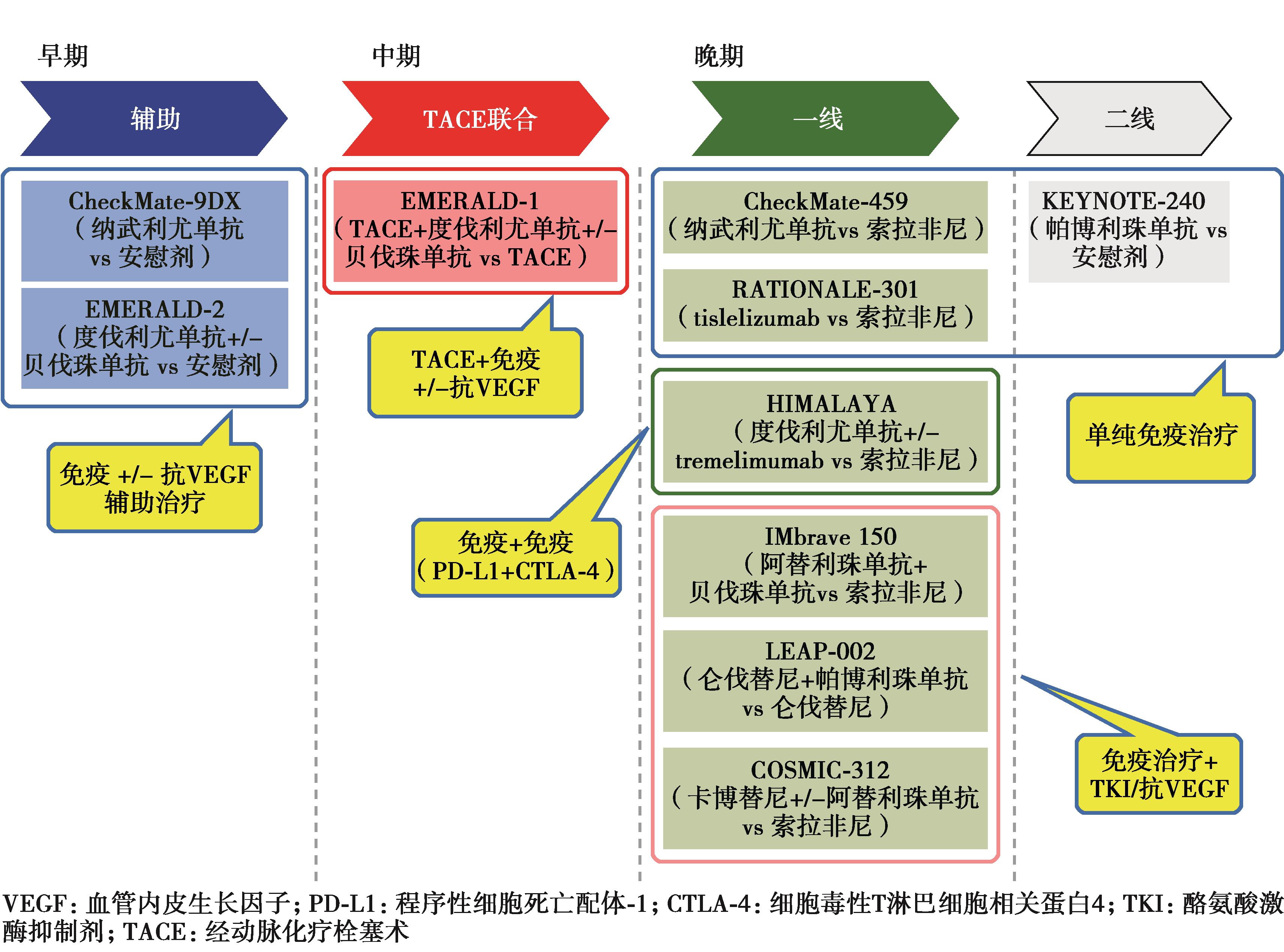 图15 早中晚期HCC联合免疫治疗三期临床研究汇总
