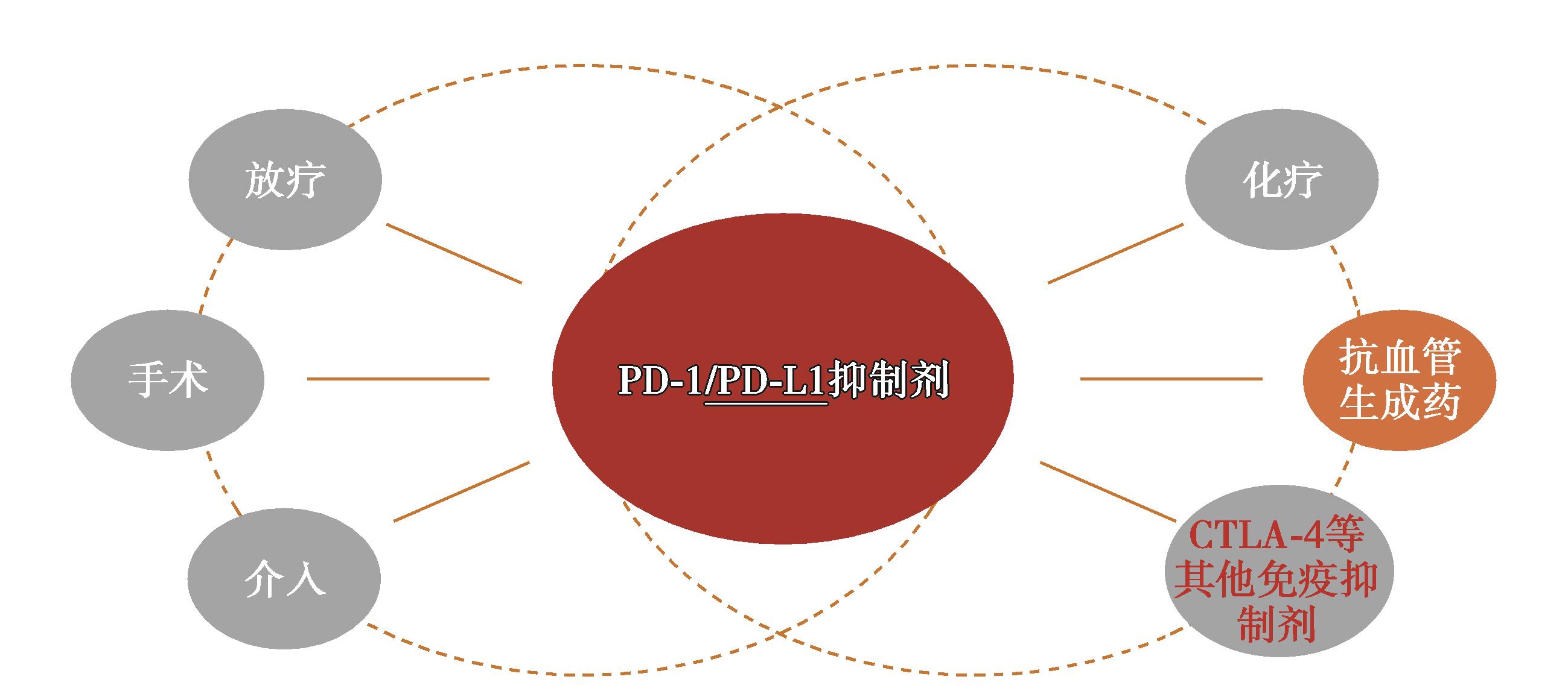 图8 HCC免疫检查点抑制剂联合治疗