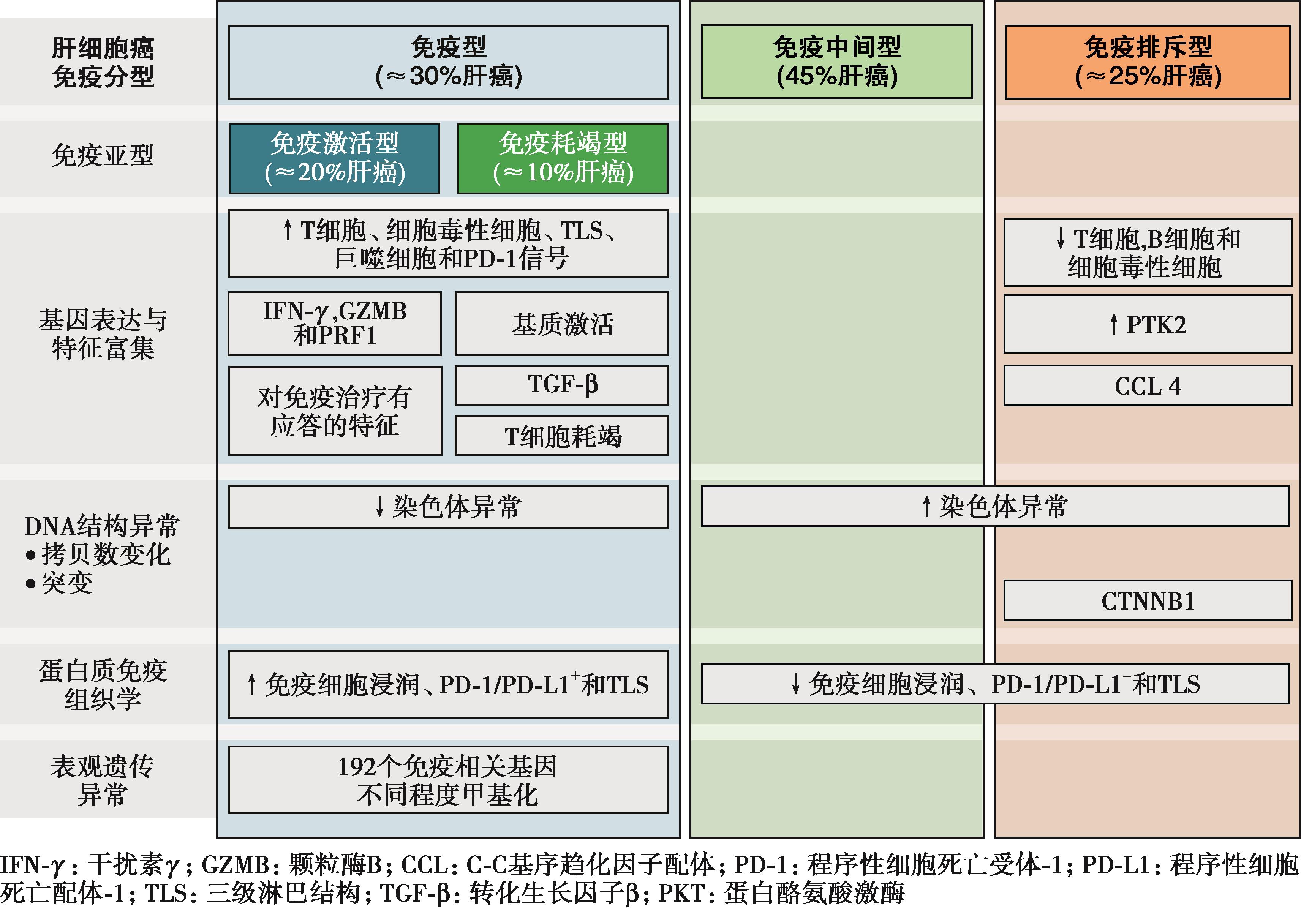 图3 依据HCC微环境免疫状态分类