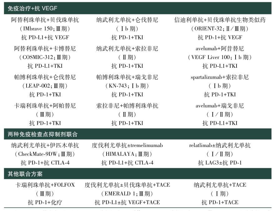 表1 HCC一线联合免疫方案汇总