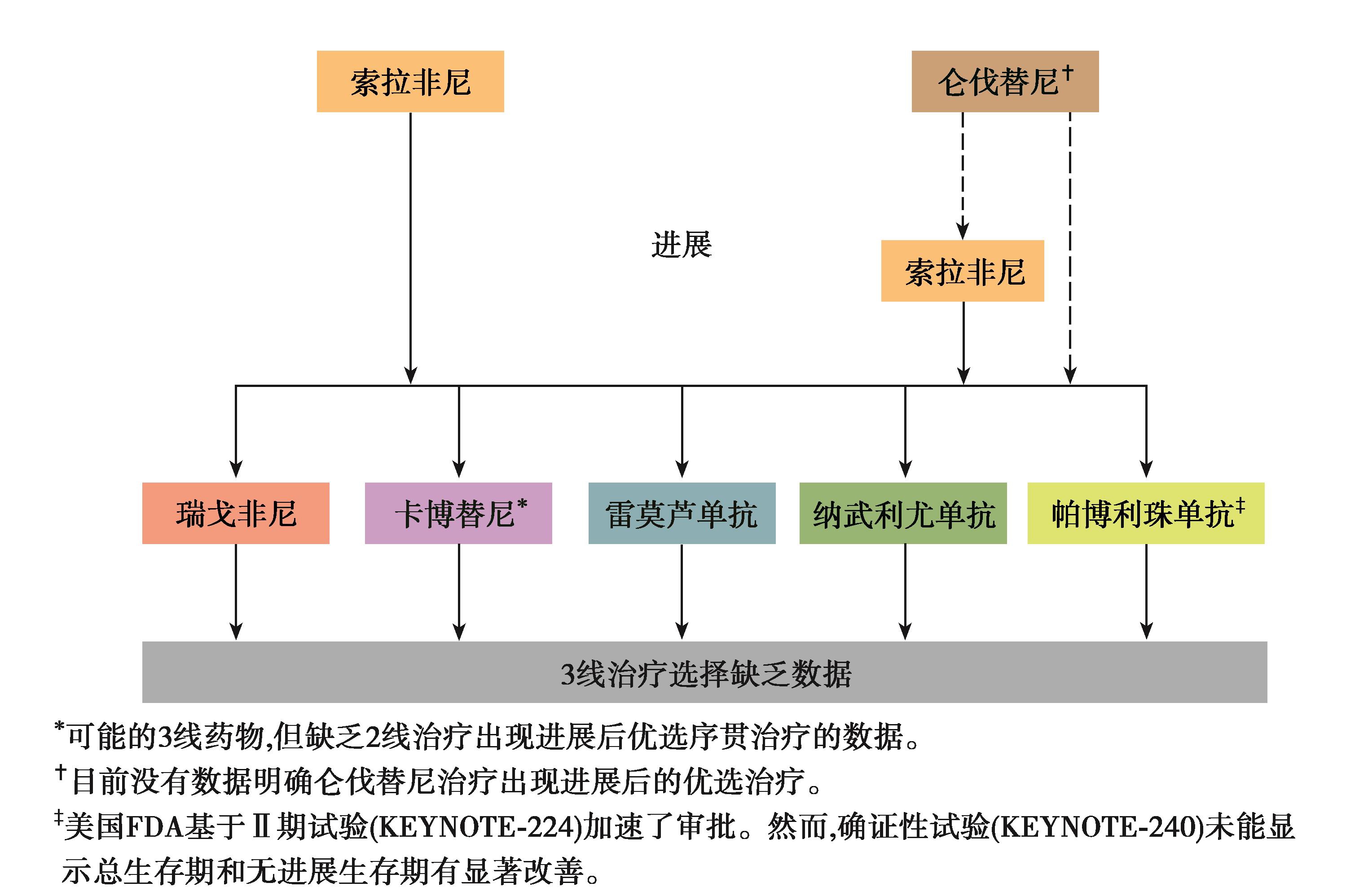 图2 晚期HCC一线分子靶向药物进展选择