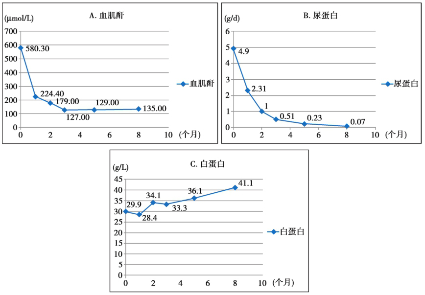 图3 血浆置换治疗后随访8个月病情变化：A血肌酐（μmolL）变化，B尿蛋白尿定量（gd）变化，和C 血清白蛋白（gL）变化