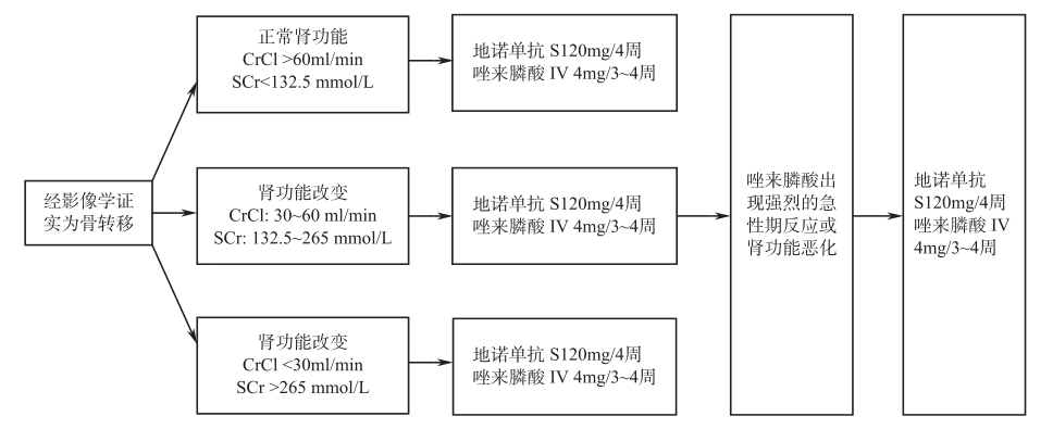 图1 骨转移患者应用双膦酸盐类药物治疗的流程图
