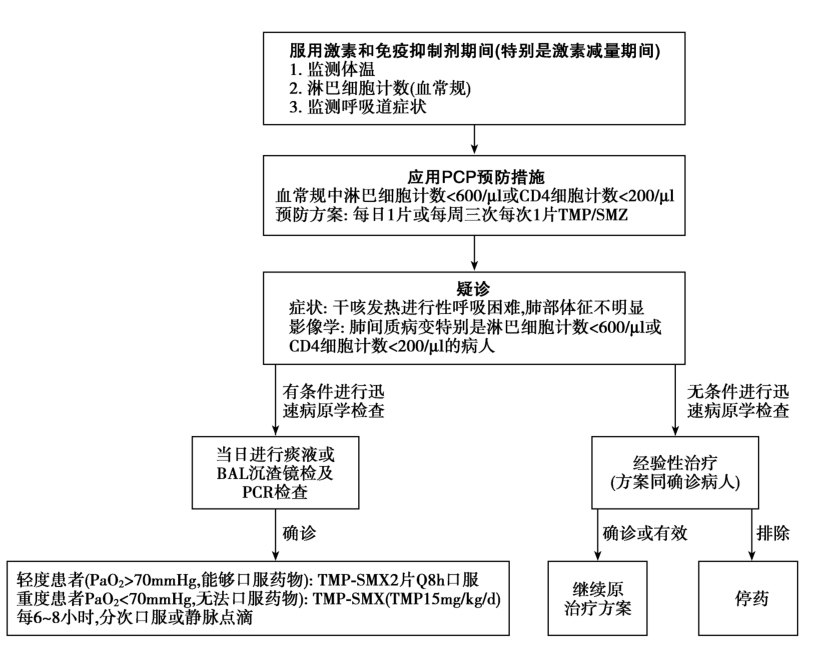 图1 IgA肾病应用激素和免疫抑制治疗过程并发肺孢子虫肺炎处理参考流程图