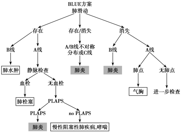 图7 BLUE方案流程图用于肺炎的鉴别诊断
