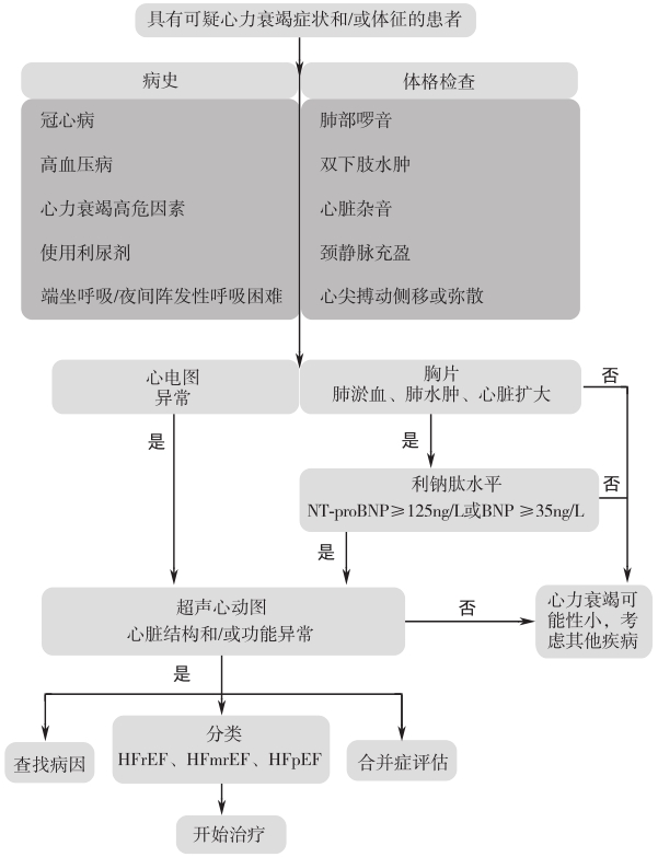 图1 慢性心力衰竭的诊断流程
