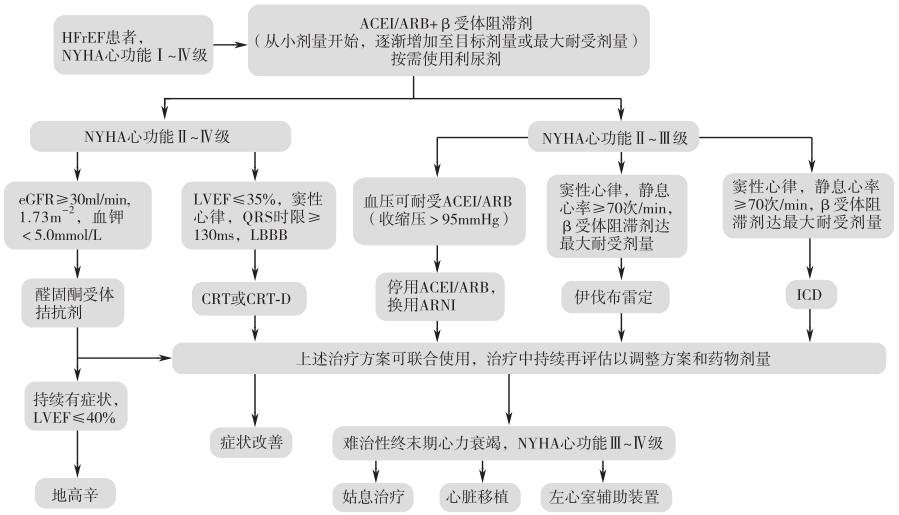 图2 慢性HFrEF的治疗流程