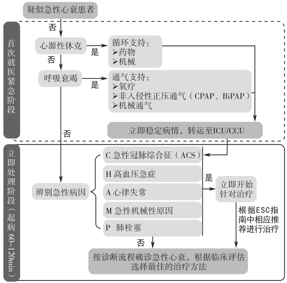 图3 疑似急性心衰的初始评估