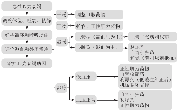 图4 急性左心衰竭治疗流程