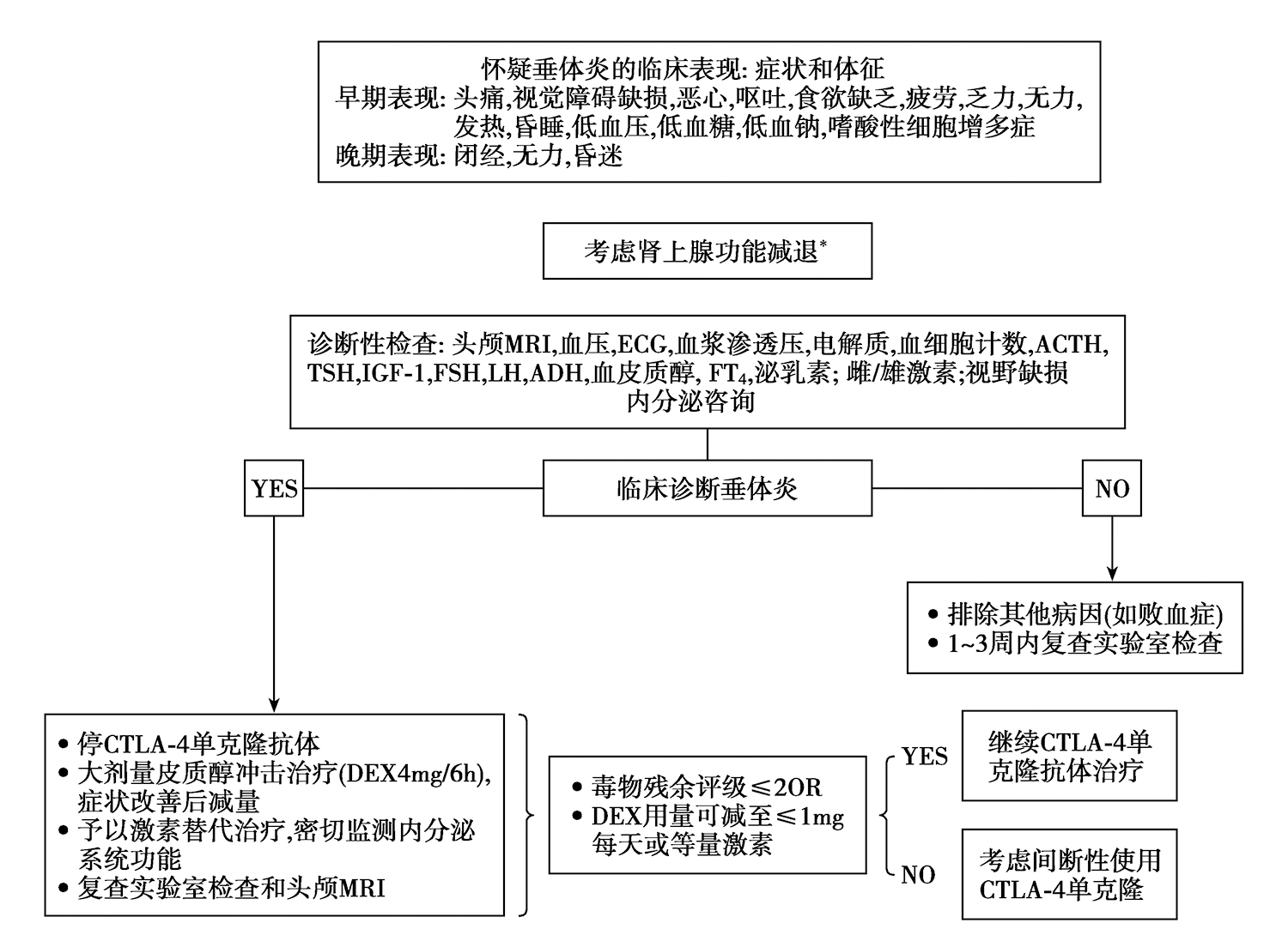 图1CTLA-4单克隆抗体引起自身免疫性垂体炎的诊断与处理