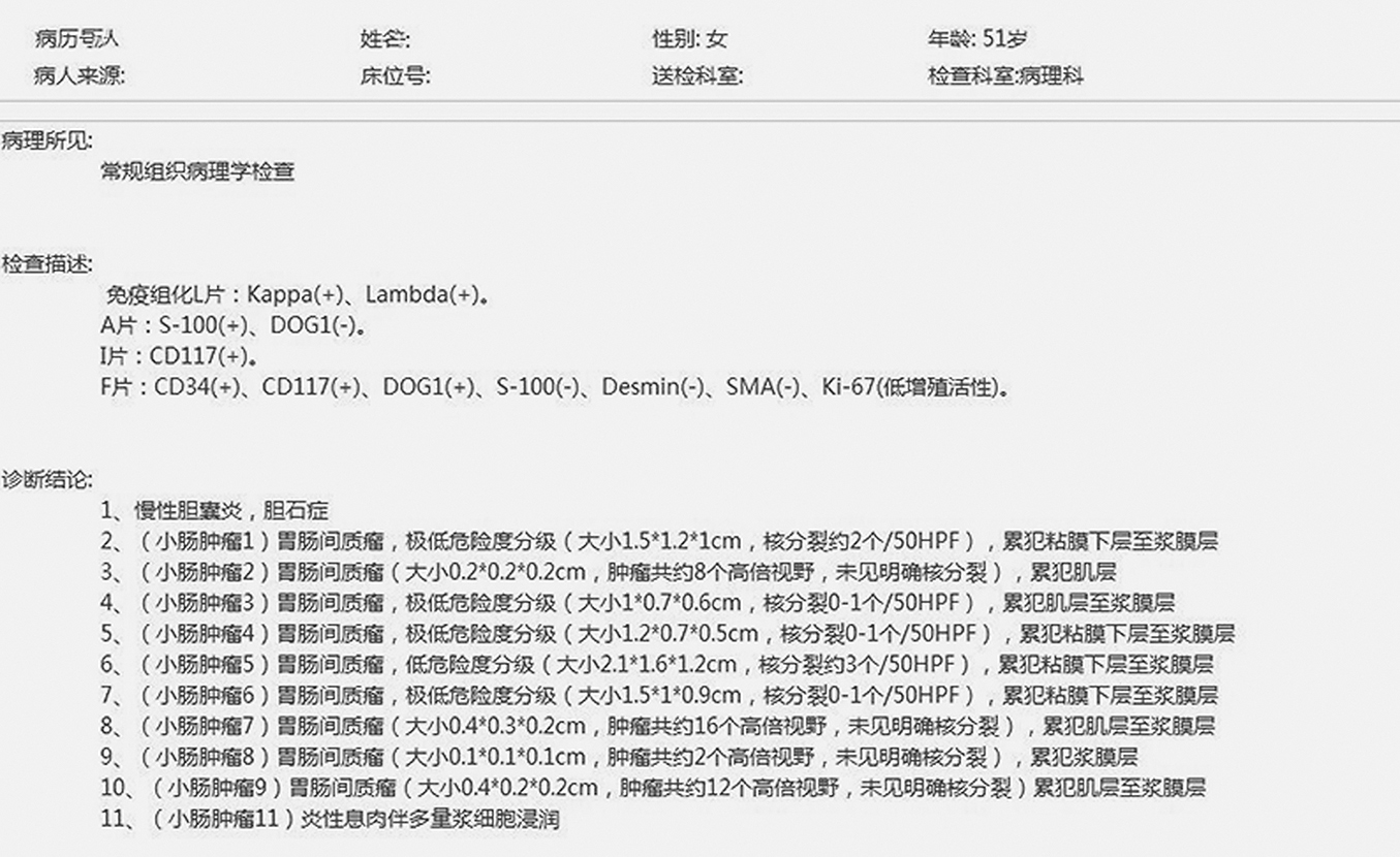 图4术后病理检测详细结果