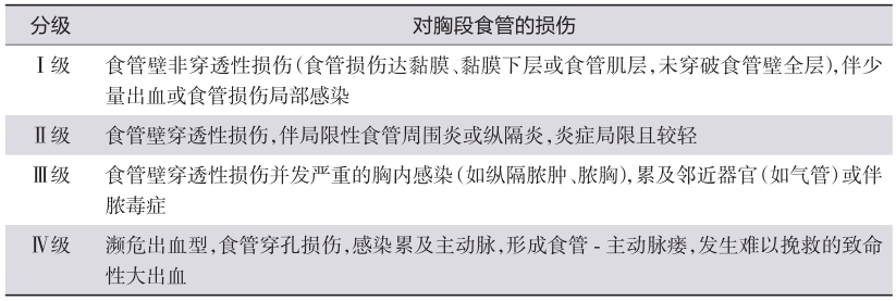 表1食管异物对胸段食管的损伤分级