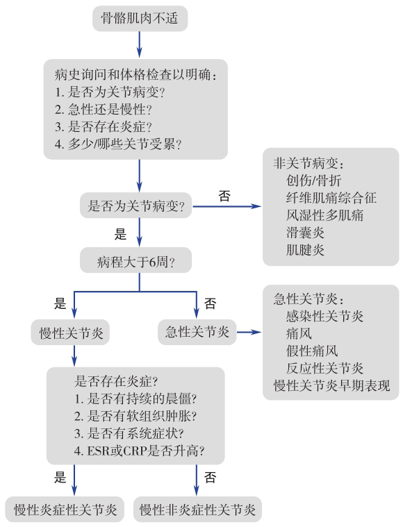 图1关节疼痛诊治流程