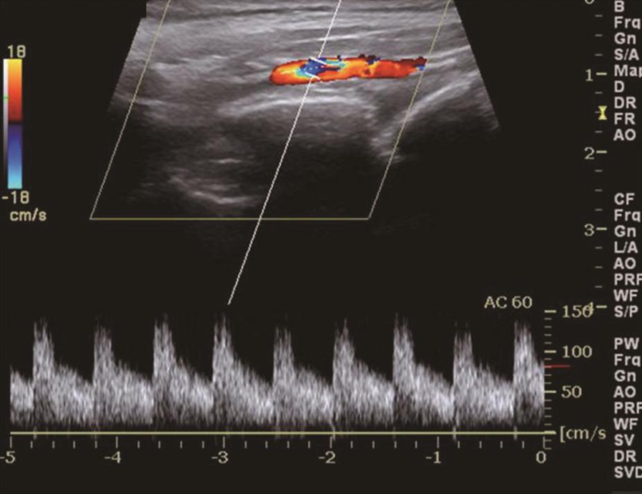 /uploads/image/2025-11-07/205833493s.jpg s