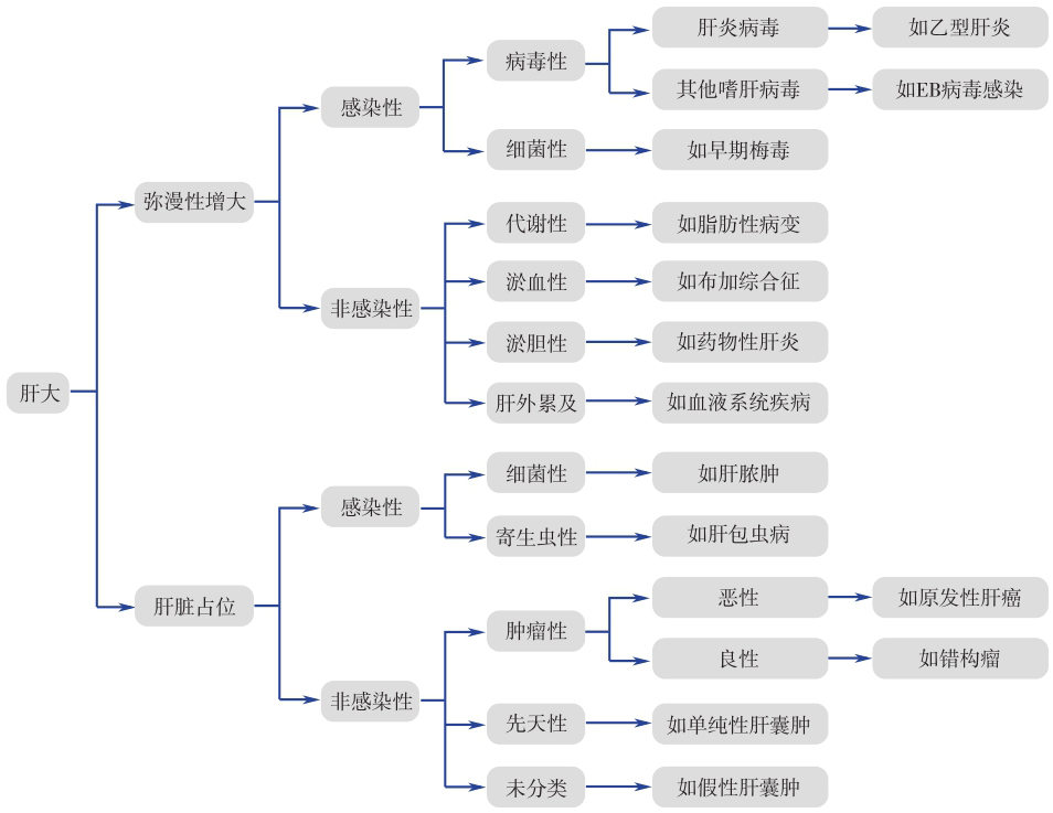 图1肝大原因鉴别诊断流程